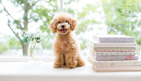 コンセプトイメージ